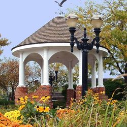 Community image