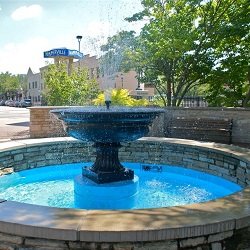 Community image
